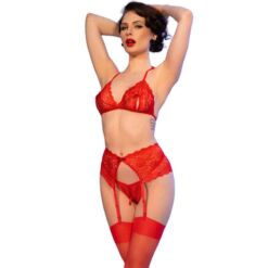 Comprar CHILIROSE - CR 4848 SET SUJETADOR + TANGA + MEDIAS DE ENCAJE ROJO L al mejor precio - Envíos Discretos