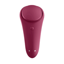 Comprar SATISFYER - SEXY SECRET PANTY al mejor precio - Envíos Discretos